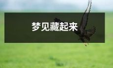 的秘密：一场神秘而又深刻的梦境引发的探索之旅