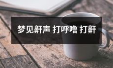 在梦中听到别人的打呼声和打鼾，好像它们是来自地心深处惊险的汹涌之音