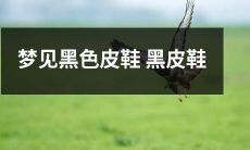 在梦中看到一双黑色皮鞋：探索梦境中黑皮鞋所代表的含义