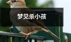 在梦中经历杀害一个无辜小孩的恐怖梦境