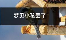 梦见自己的孩子在公共场合失踪了