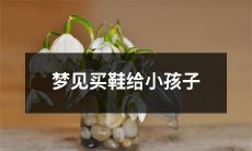 在梦中买鞋为小孩子：一个充满幸福与关怀的梦境体验