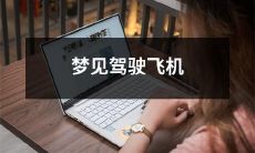 成为飞行员梦想的真实化，关于梦中驾驶飞机的惊奇体验