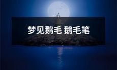 我做了一个梦，在梦里我看到了一支用鹅毛制成的鹅毛笔
