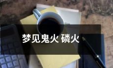 在深夜中出现的神秘鬼火磷火宛如梦境般缭绕身旁的惊奇体验