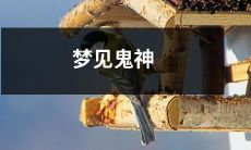 在梦中遭遇神秘超自然力量：探索梦境中的鬼神之谜