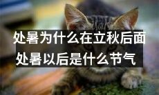 为何处暑一般落在立秋后？处暑后，接下来是哪个节气？