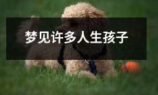 做梦时看到许多人都在生育新生命的情景