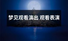 梦见自己在观看演出和表演场景中享受精彩绝伦的视觉和听觉盛宴的故事