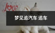 无休止地追逐汽车，充满挑战性的梦境体验