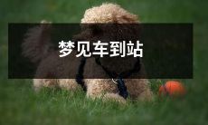 睁开眼睛,梦见等待已久的车辆准时到达站点:感受到的兴奋和震撼令人难以忘怀!