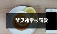 今晚我做了一个可怕的梦，梦见自己因违章而被罚款了，心情丧到了极点！