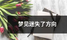 梦中迷失方向：一个关于困惑与迷惘的神秘之旅