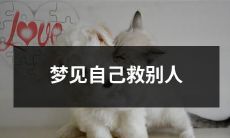 在梦中亲身体验救人一命的梦境：梦见自己以勇气和智慧化解他人危机