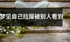 在梦中被人目击拉屎:摆脱隐私被侵犯的尴尬时刻