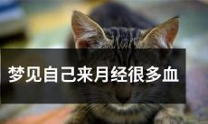 梦境中看到自己经血不断涌出，大量出血的梦境