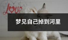 在梦中经历了失重感和惊恐的人，梦见自己无法逃离河流并跌落其中，身体在湍急水流中翻滚撞击，心情既惊慌又无助