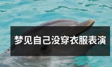 在梦中，我竟然忘记穿衣服，身处表演舞台之上！