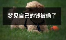 在梦中目睹个人财产被谋贼侵占的情景体验：梦见自己的钱财被盗了