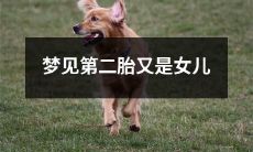 在梦中经历了孕育第二个女儿的美好体验