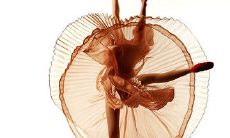 在梦中亲身经历：我身处醉人的舞场，被华美绚烂的舞女环绕着，无尽的欢愉与惊艳令我难以忘怀！