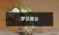 在春天的午后，在露天阳台上做梦：我所遇见的惊人景象