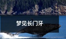 如何诠释:梦见自己拥有一对令人惊叹的长门牙,探究自我表象和个人影响力的深层潜意识信息?