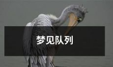 排长长长长长长长长的队列，意味着什么？——解读梦境中的队列现象