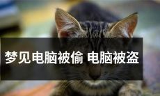 梦见自己的电脑被窃，遭不明人士之手盗窃