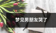 我做了一个梦，在梦中看到我的男朋友哭泣，这让我感觉非常困惑和不安