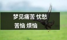 作噩梦：被深深的痛苦与忧愁，苦恼和烦恼所困扰