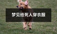 在梦中经历给逝世者穿衣，一个寓意深刻的神秘体验