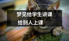 在梦中经历了教学体验：自己作为学生听课，又以教师身份为别人进行授课