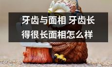 如何根据牙齿长短来判断面相特征?长牙齿的面相特征有哪些?