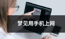 在梦中惊醒：我竟然在手机上畅游互联网！