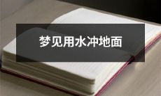今晚我做了一个奇怪的梦，梦见我拿着一只水龙头，将一直流淌的水往地面上猛冲！