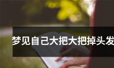 梦中惊醒,惊恐发现自己大量掉发!