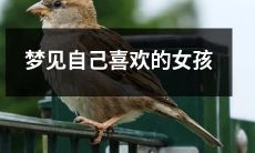 梦中出现心仪女生：我做梦梦到喜欢的女孩了