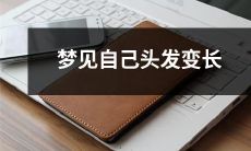 在梦中经历头发变长的奇妙经历:假发与美发师的对决、洗剪吹为何如此重要?