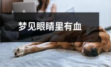 在梦中看到自己眼球中流血的臆想:梦见眼睛中脉络红血液丰富,诠释着梦境的深层象征和寓意