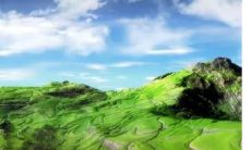 哪些命格八字女性在感情路上易走弯路，容易选择错误的伴侣？