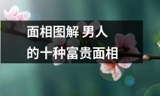 十种富贵面相，教你如何从男人的面相图解中获取财富与成功！