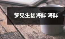 梦中遭遇生猛海鲜缤纷海味,细品丰富海鲜享受之旅