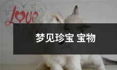 做梦时目睹奇珍异宝，以及珍贵物品展现于梦中