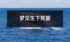 在梦中见到生下已经逝去的婴儿：探讨潜意识中可能存在的情感和精神层面的意义