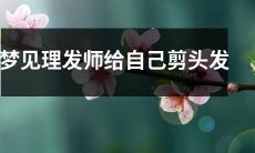 今晚梦见理发师给自己剪发,身处异境中的我亲身体验时尚和美学的完美结合!