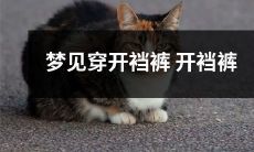 出现在梦中：穿着开裆裤的奇异梦境