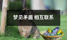 梦见矛盾相互联系：探究梦境中矛盾元素之间的存在意义和潜在影响