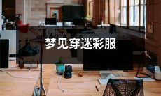 ，象征什么？ - 穿上迷彩服在梦中出现，预示着什么意义？