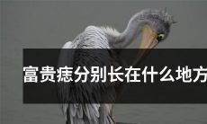 富贵痣在人体哪个部位长最恰当？——解密富贵痣的奥秘